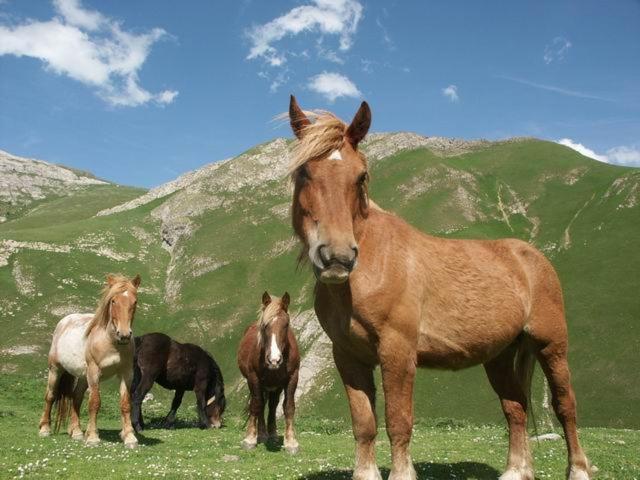 Agroturismo Mari Cruz Villanueva de Arce Екстериор снимка
